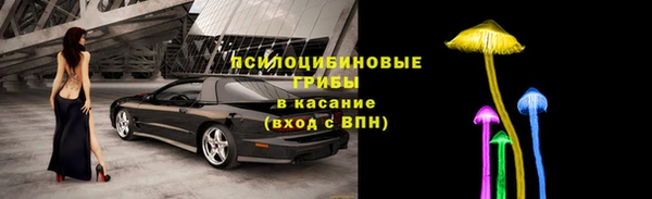 ПСИЛОЦИБИНОВЫЕ ГРИБЫ Надым