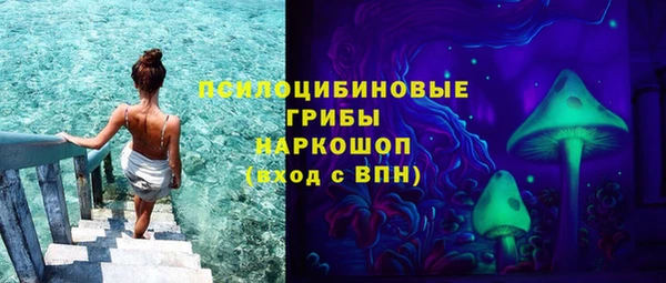 ПСИЛОЦИБИНОВЫЕ ГРИБЫ Надым